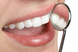 Dental Insurance With No Waiting Period